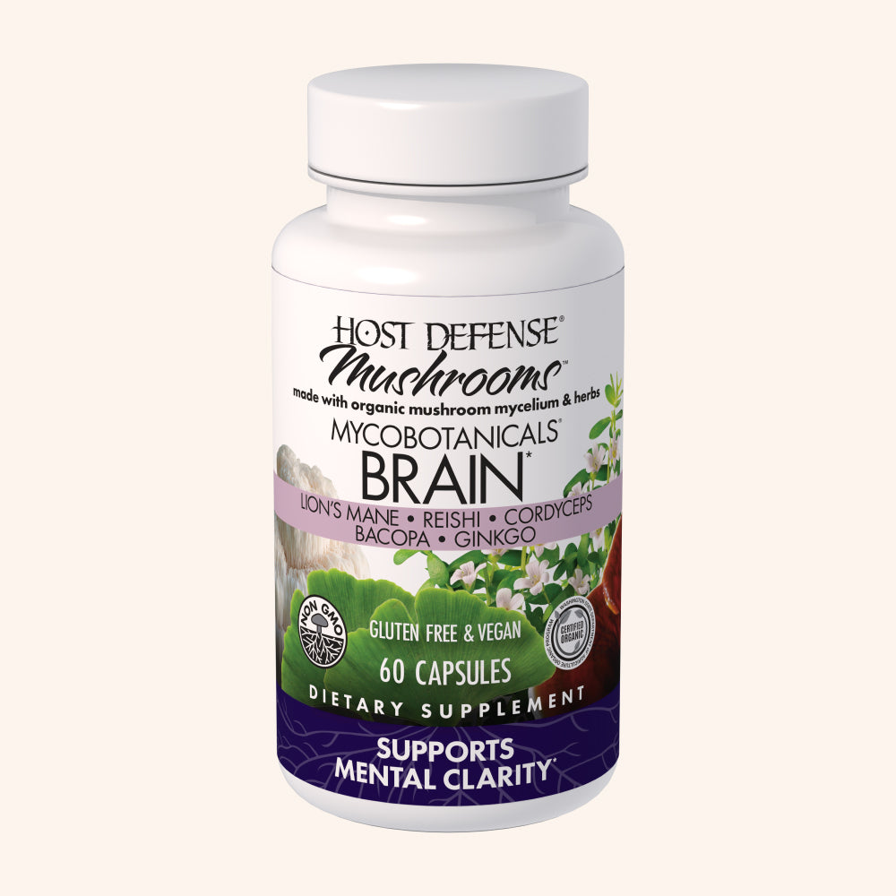 Brain