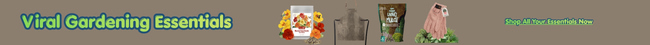 Adult Multivitamin Gummies