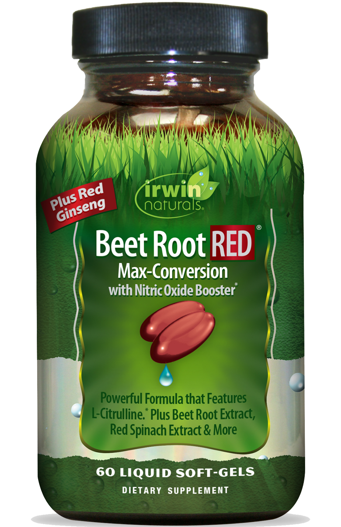 Beet Root RED
